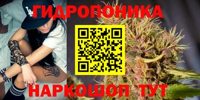 прущие грибы Туймазы