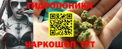 прущие грибы Туймазы