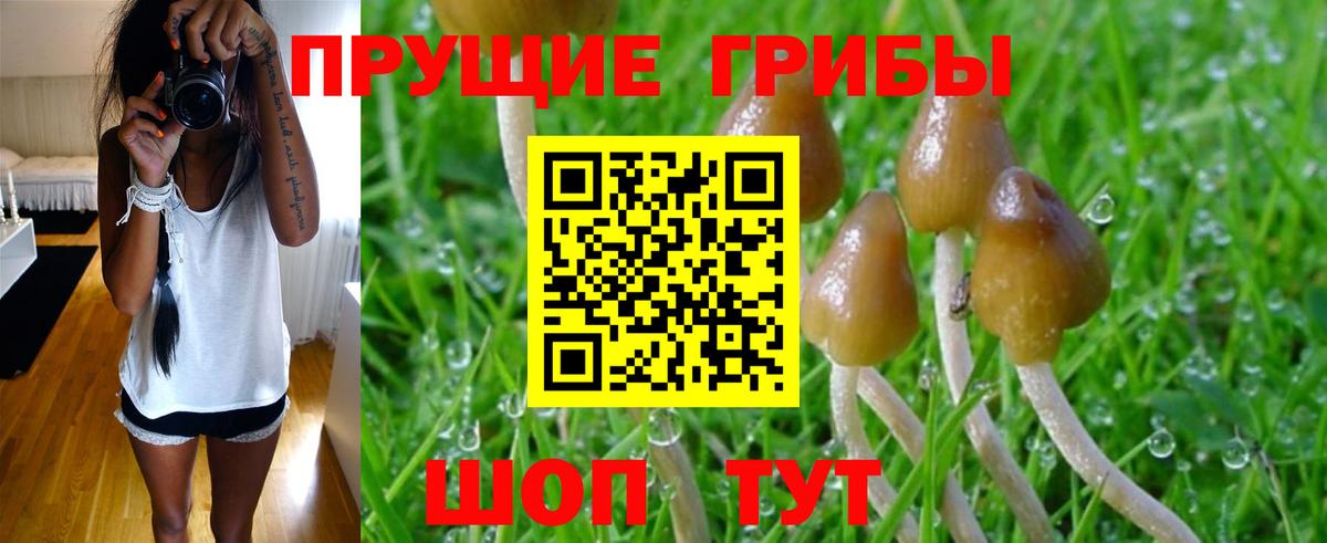 Галлюциногенные грибы мицелий  Вход с VPN  Коломна 